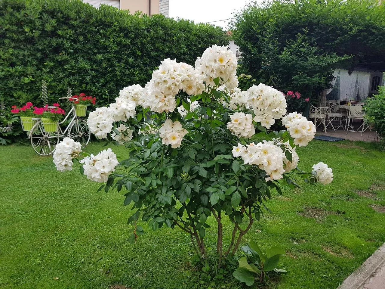 ** Frühstückspension Guest House Il Giardino In Citta La Spezia Italien